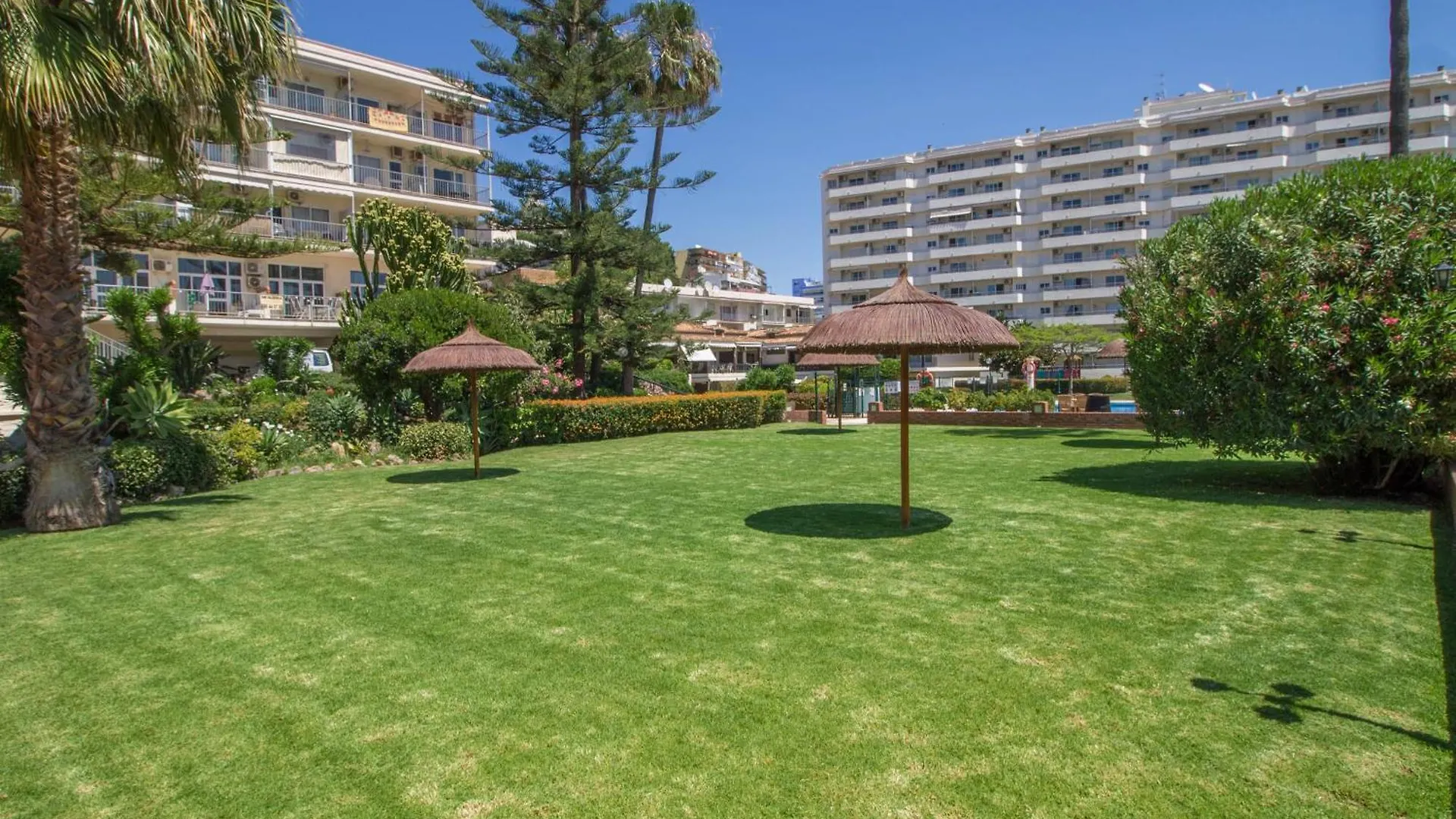 Apartment Carihuela Palace 419 By Ivi Real Estate Torremolinos Spain